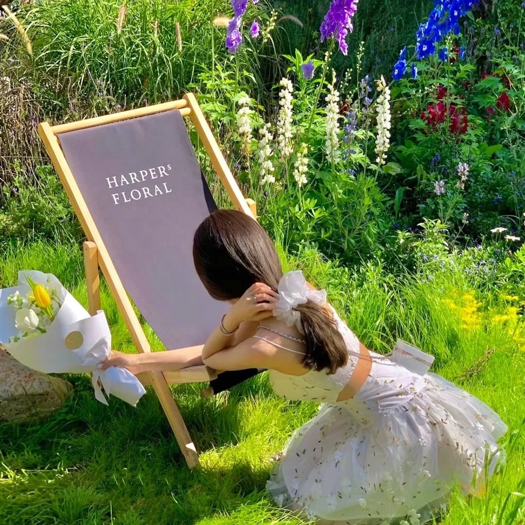 乐活姐妹：怪诞冒险第一季